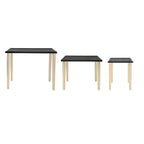A&B Home Two Tone Nesting Side Tables - Set of 3 - Black/Gold