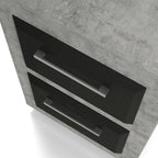 DH BASIC Urban Two-Drawer Mobile File Cabinet with Iron Bar Pulls by Denhour