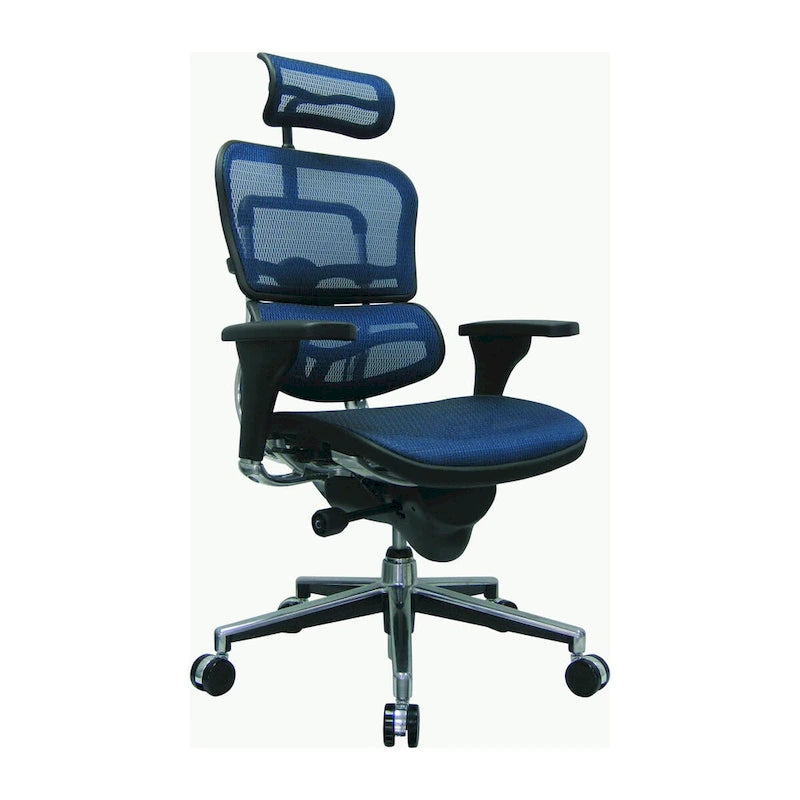 Eurotech Seating Ergohuman Mesh Managers Chair
