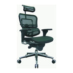 Eurotech Seating Ergohuman Mesh Managers Chair