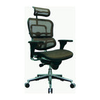 Eurotech Seating Ergohuman Mesh Managers Chair