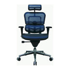 Eurotech Seating Ergohuman Mesh Managers Chair