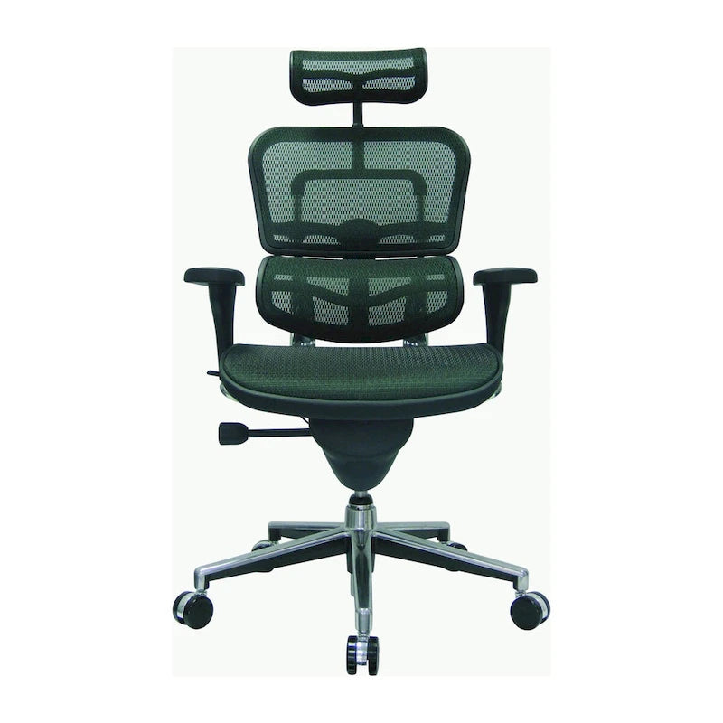 Eurotech Seating Ergohuman Mesh Managers Chair