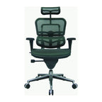 Eurotech Seating Ergohuman Mesh Managers Chair