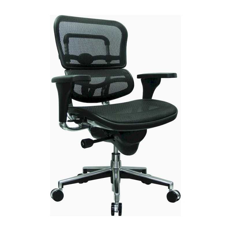 Eurotech Seating Ergohuman Mesh Managers Chair