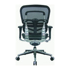 Eurotech Seating Ergohuman Mesh Managers Chair