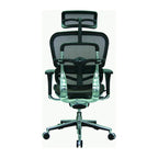 Eurotech Seating Ergohuman Mesh Managers Chair
