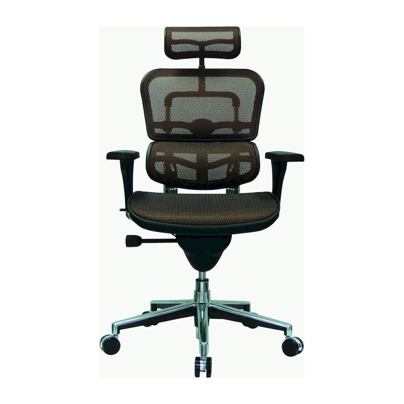 Eurotech Seating Ergohuman Mesh Managers Chair