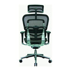 Eurotech Seating Ergohuman Mesh Managers Chair