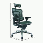 Eurotech Seating Ergohuman Mesh Managers Chair
