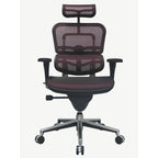 Eurotech Seating Ergohuman Mesh Managers Chair