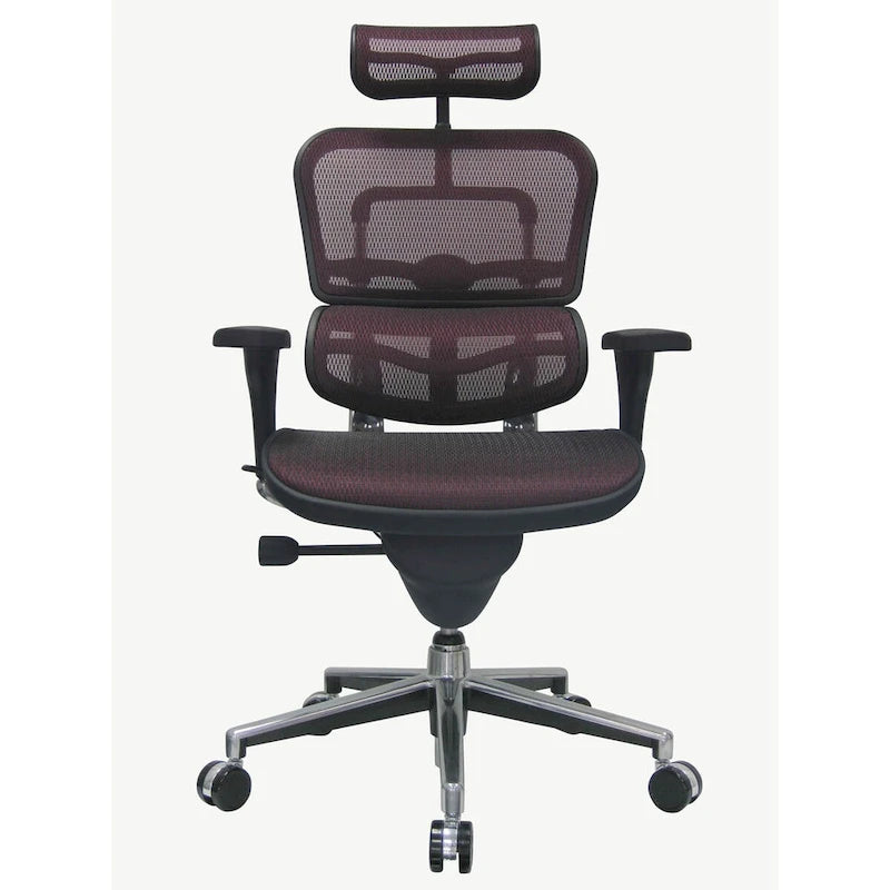 Eurotech Seating Ergohuman Mesh Managers Chair
