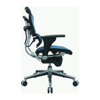 Eurotech Seating Ergohuman Mesh Managers Chair